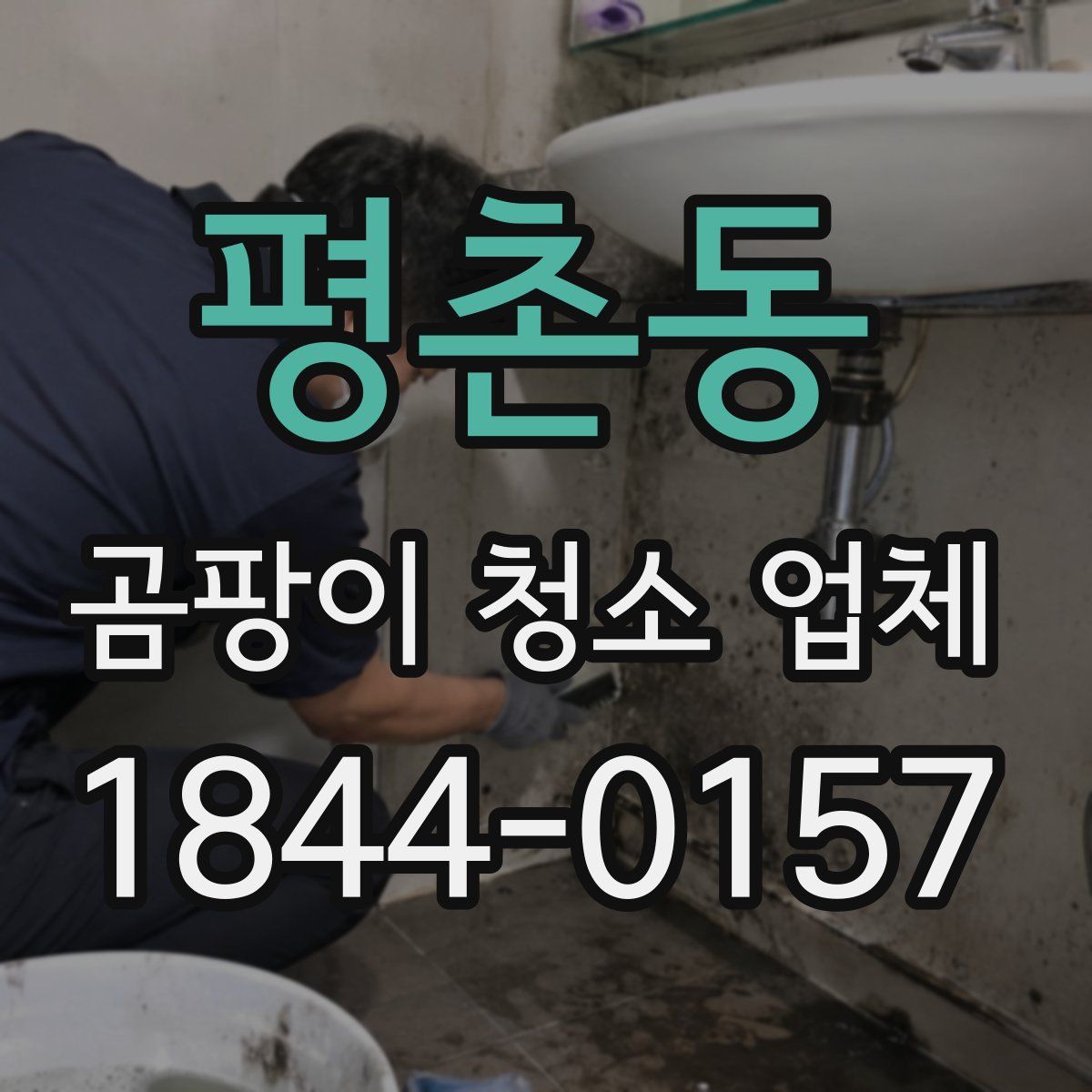 평촌동 곰팡이 청소 업체