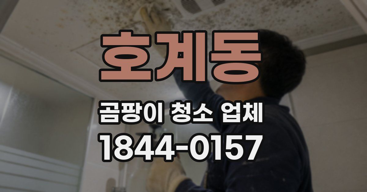 호계동 곰팡이 청소 업체