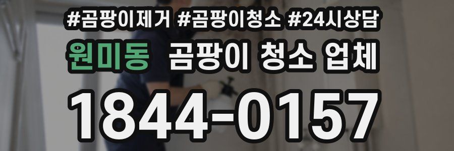 원미동 곰팡이 청소 업체