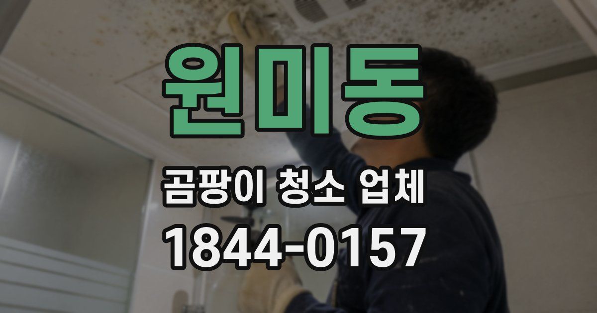 원미동 곰팡이 청소 업체