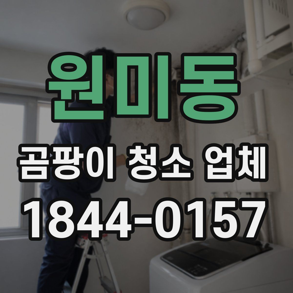 원미동 곰팡이 청소 업체