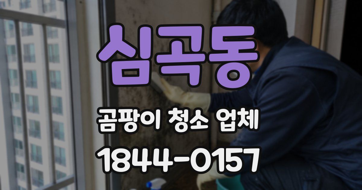 심곡동 곰팡이 청소 업체