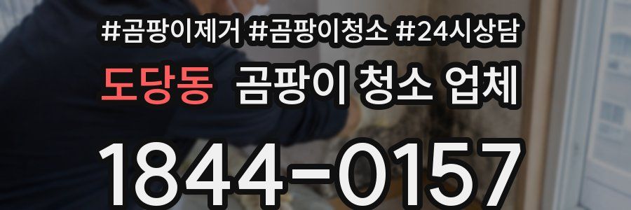 도당동 곰팡이 청소 업체