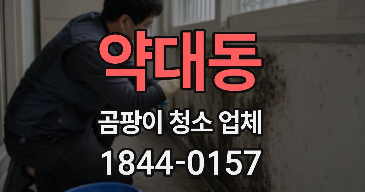 약대동 곰팡이 청소 업체