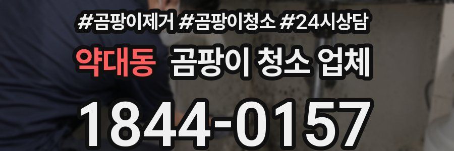 약대동 곰팡이 청소 업체