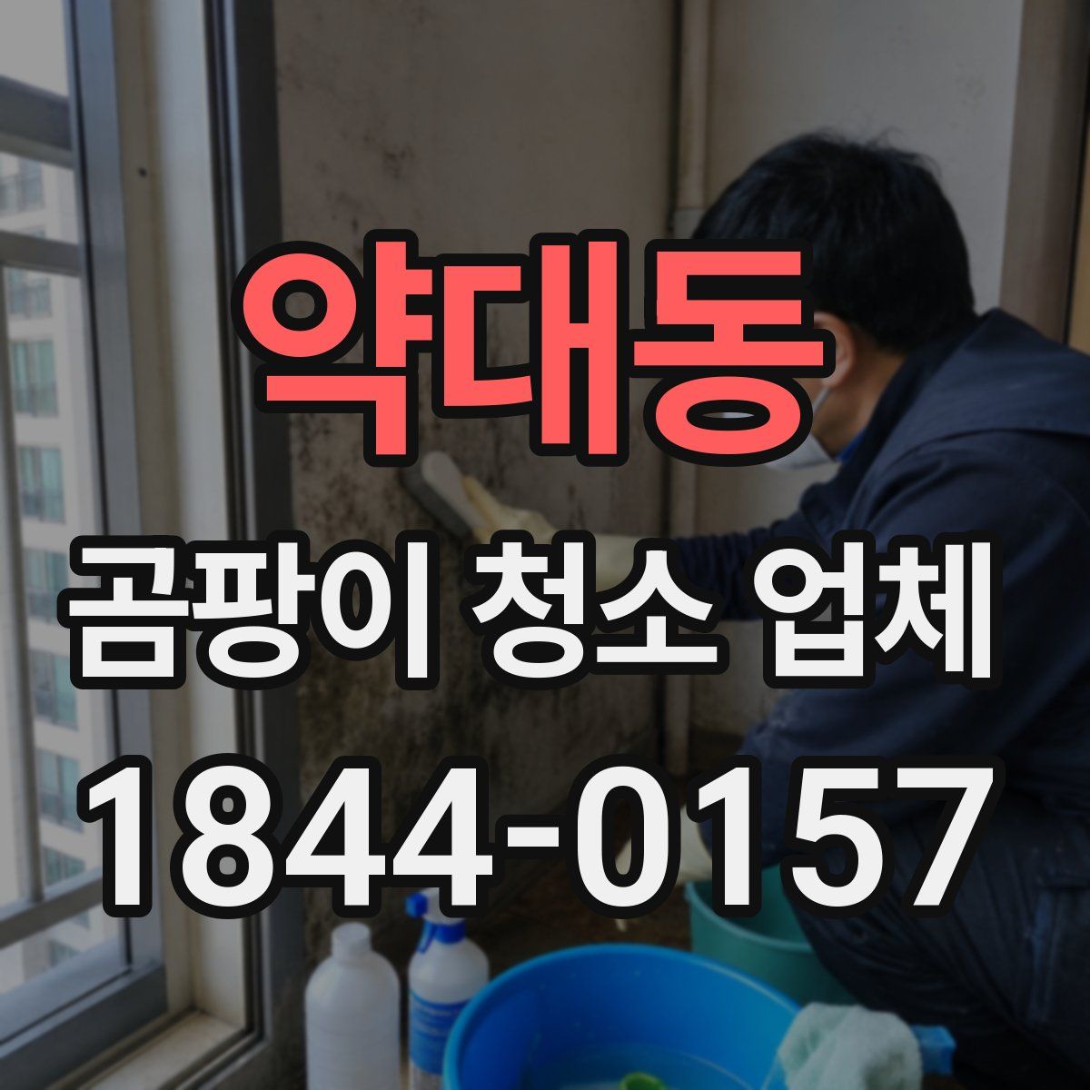 약대동 곰팡이 청소 업체