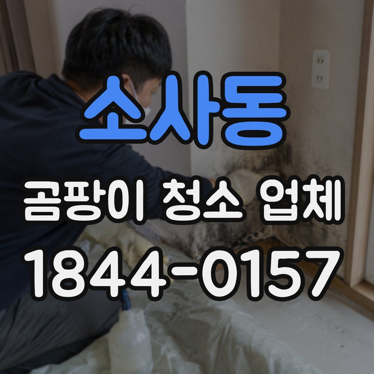 소사동 곰팡이 청소 업체