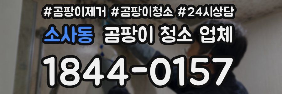 소사동 곰팡이 청소 업체