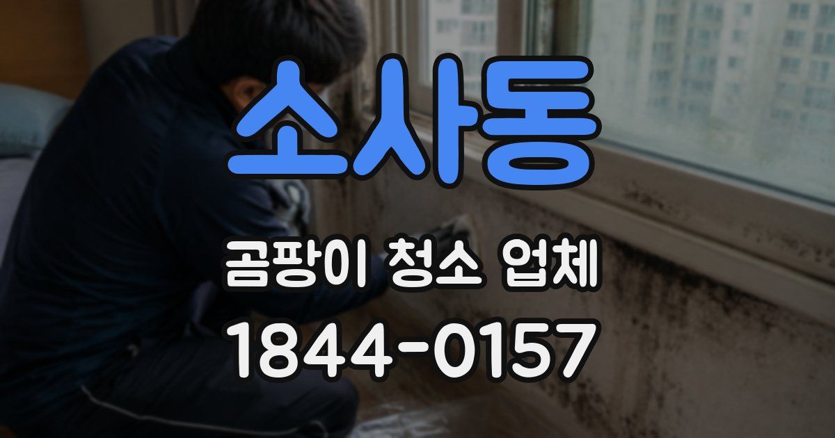 소사동 곰팡이 청소 업체
