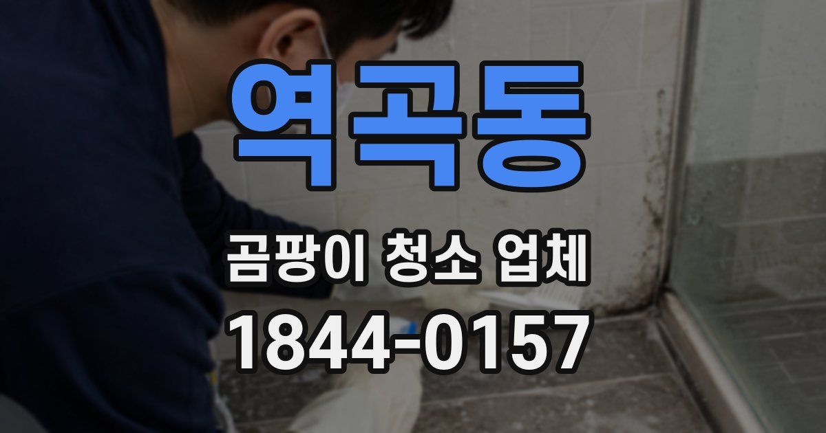 역곡동 곰팡이 청소 업체