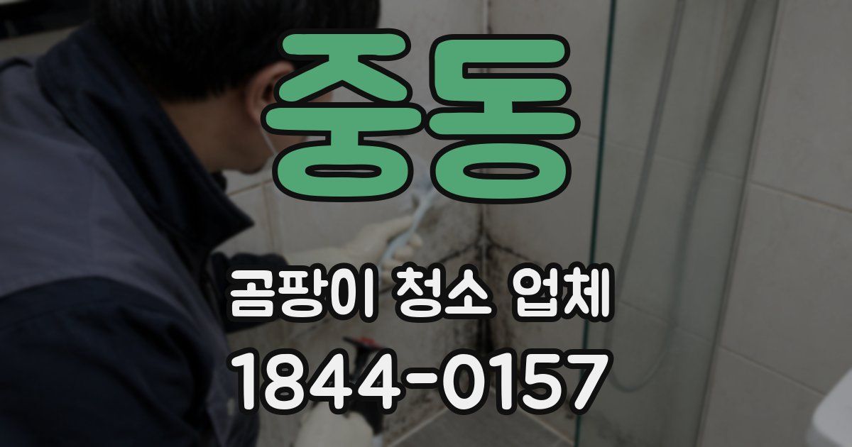 중동 곰팡이 청소 업체