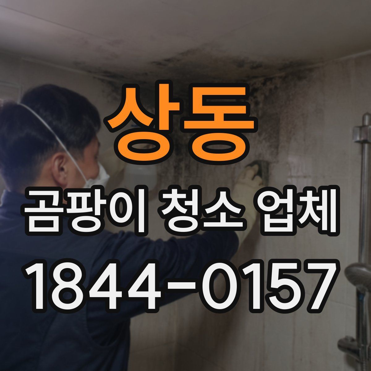 상동 곰팡이 청소 업체