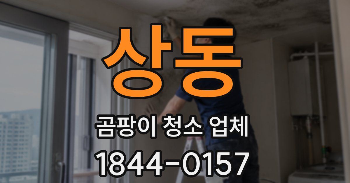 상동 곰팡이 청소 업체