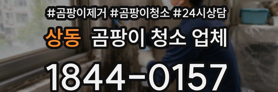 상동 곰팡이 청소 업체