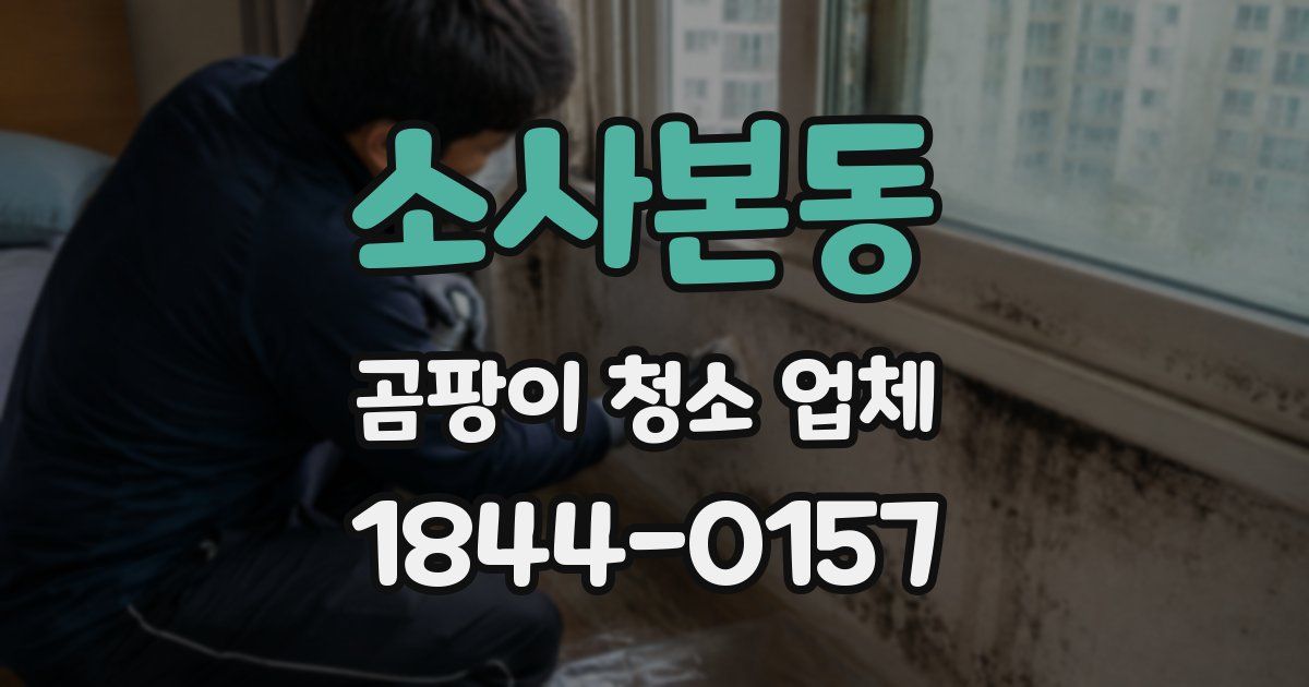 소사본동 곰팡이 청소 업체
