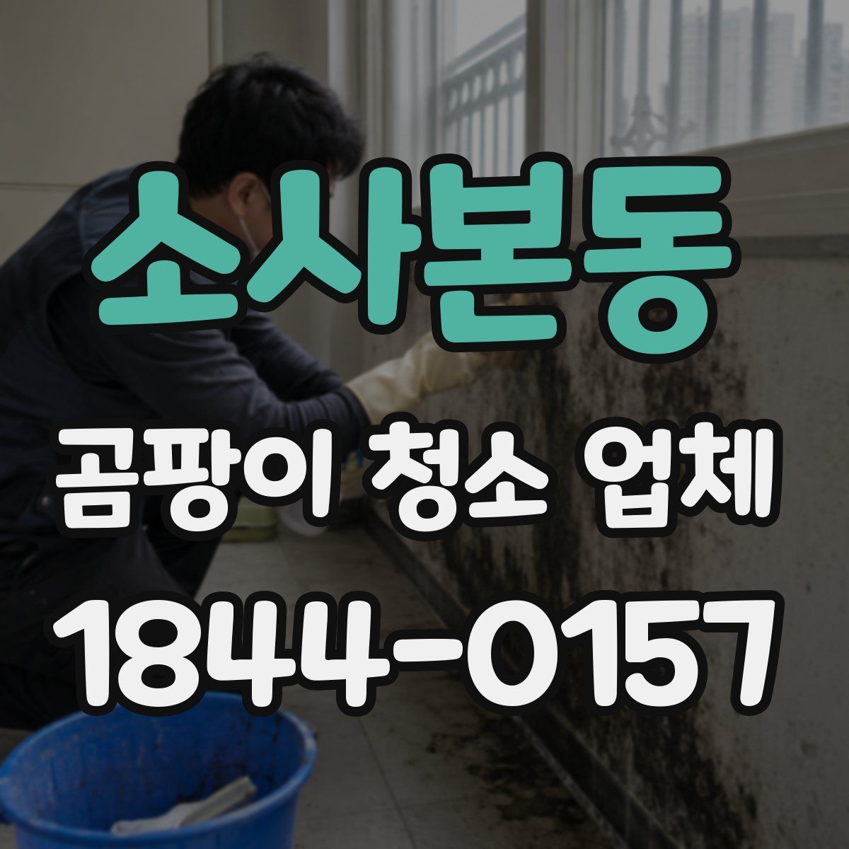 소사본동 곰팡이 청소 업체