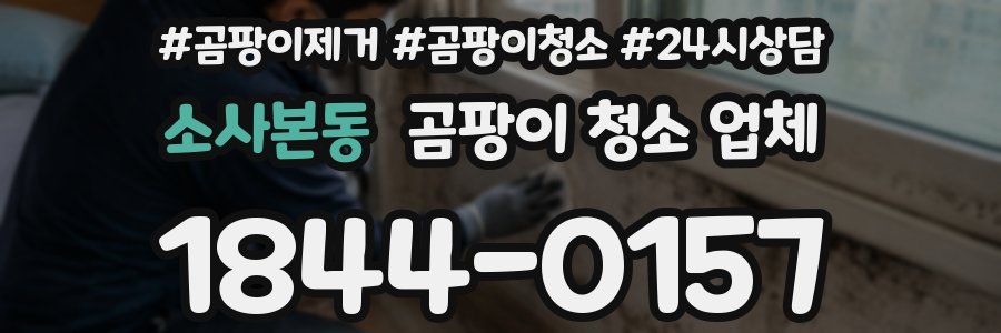 소사본동 곰팡이 청소 업체