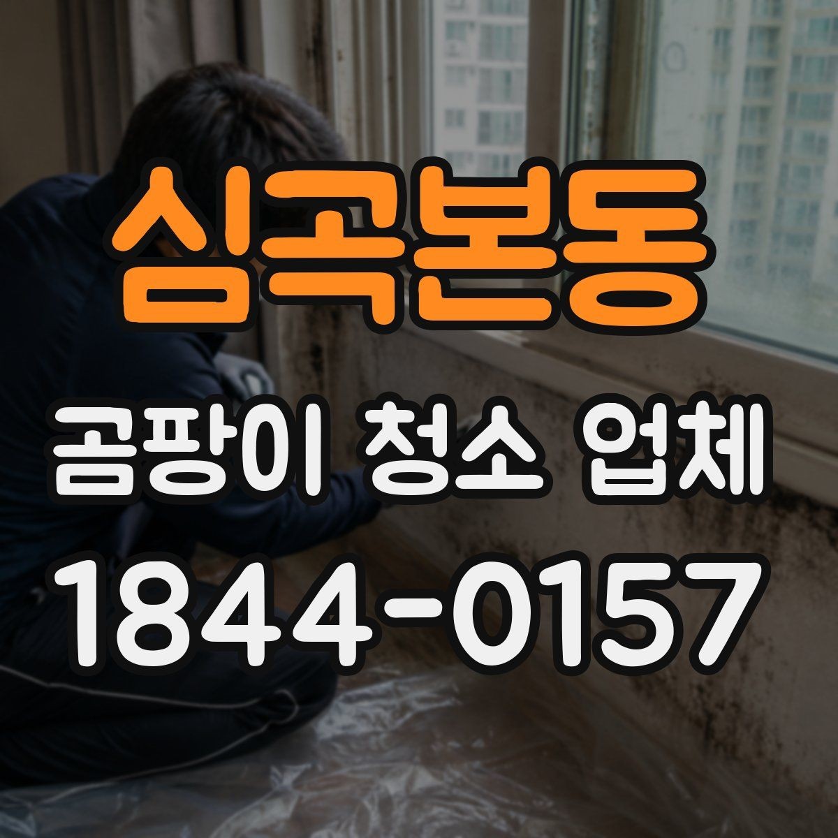 심곡본동 곰팡이 청소 업체 오염 확산을 막는 격리 작업이 필요한 상황