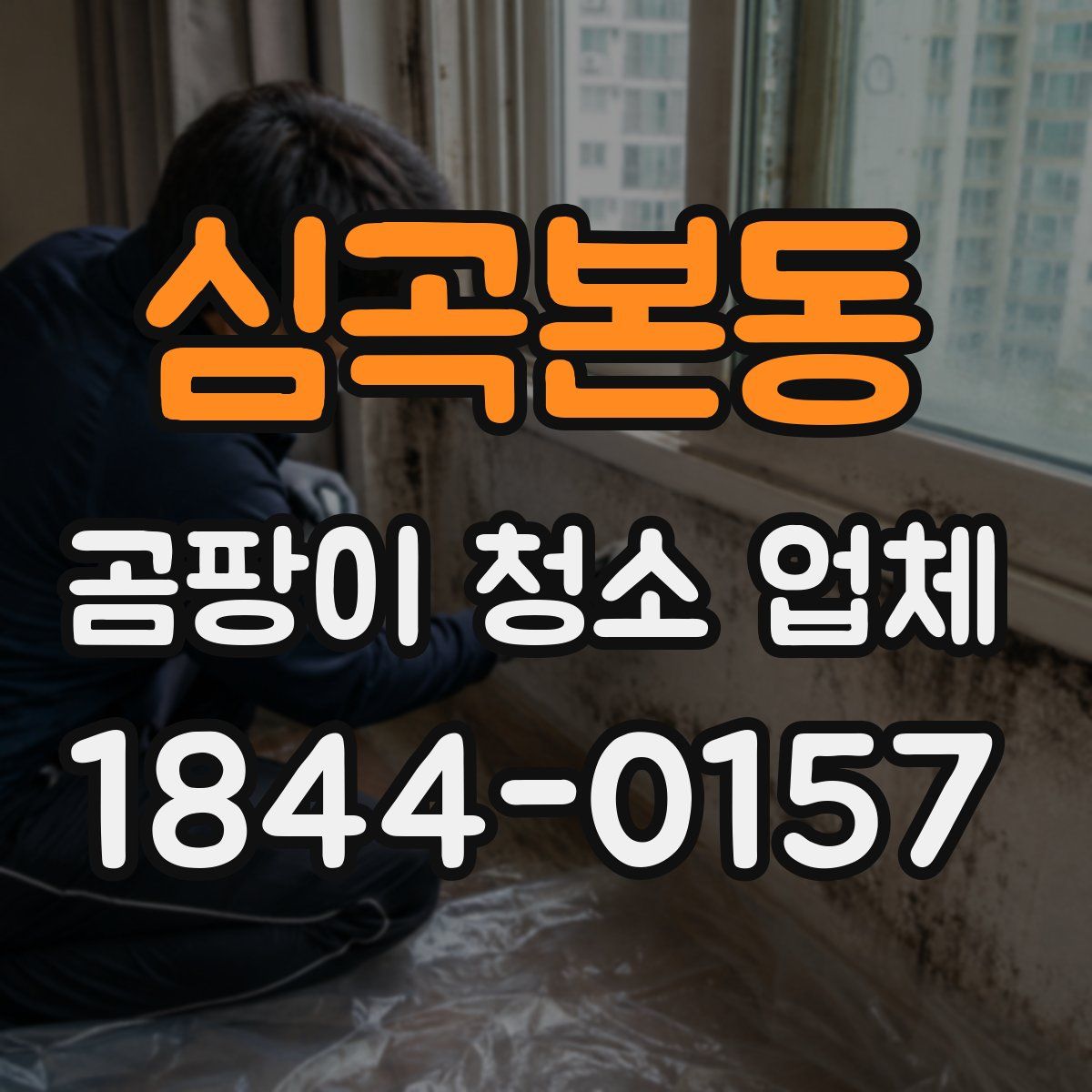 심곡본동 곰팡이 청소 업체