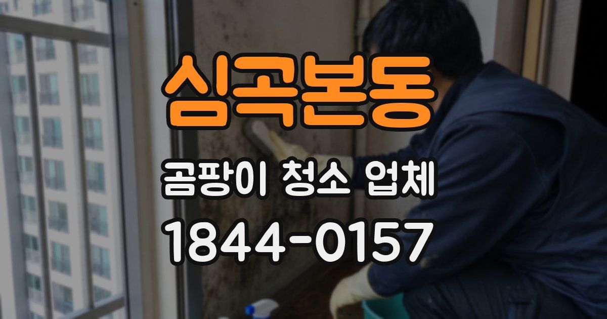 심곡본동 곰팡이 청소 업체