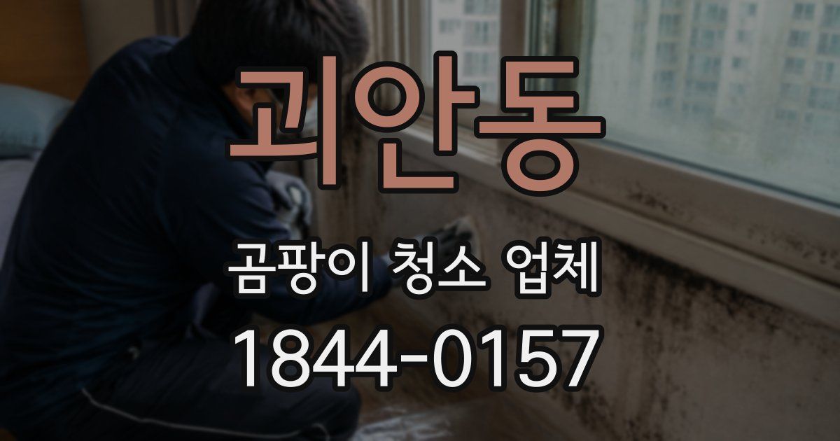 괴안동 곰팡이 청소 업체