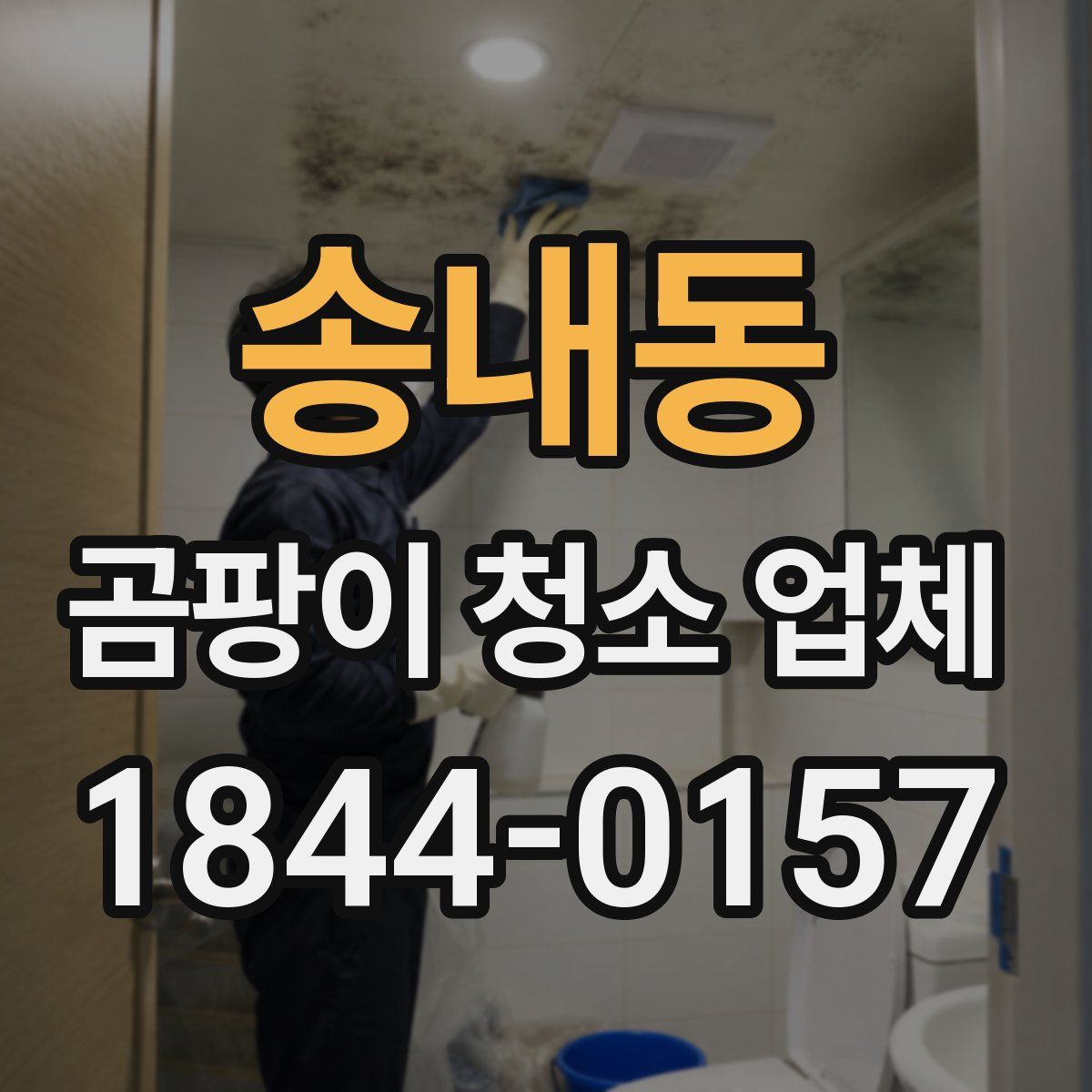 송내동 곰팡이 청소 업체