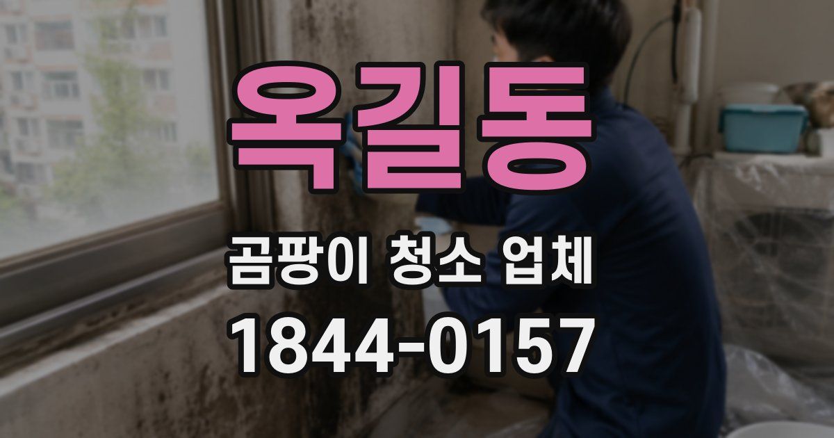 옥길동 곰팡이 청소 업체
