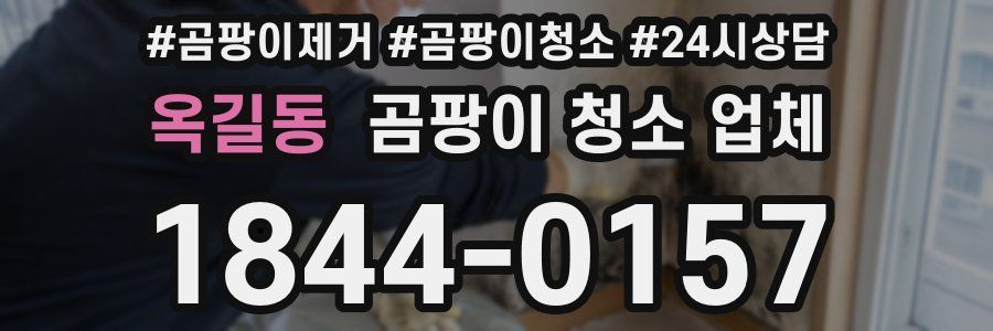 옥길동 곰팡이 청소 업체