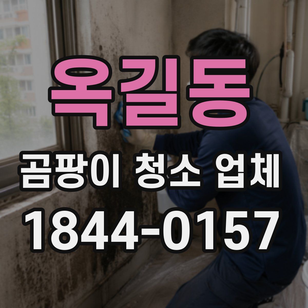 옥길동 곰팡이 청소 업체