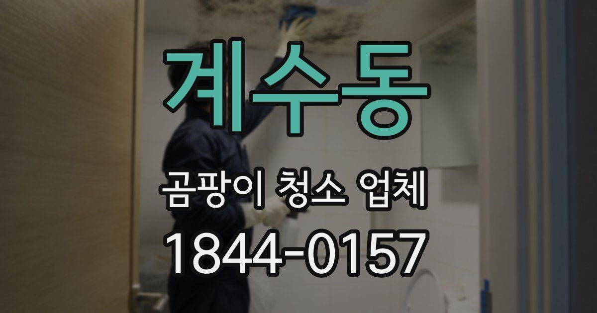 계수동 곰팡이 청소 업체