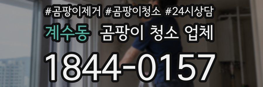 계수동 곰팡이 청소 업체
