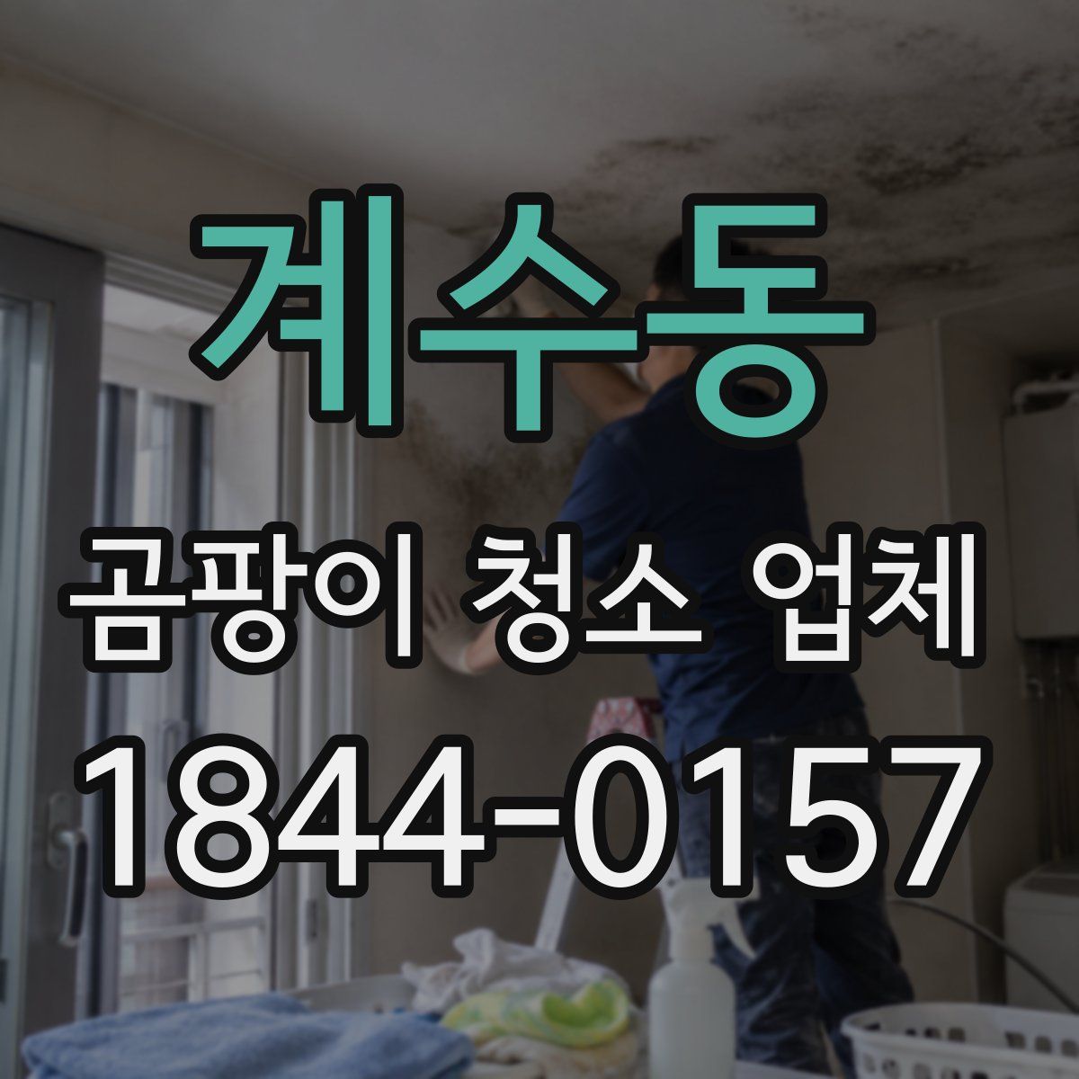 계수동 곰팡이 청소 업체
