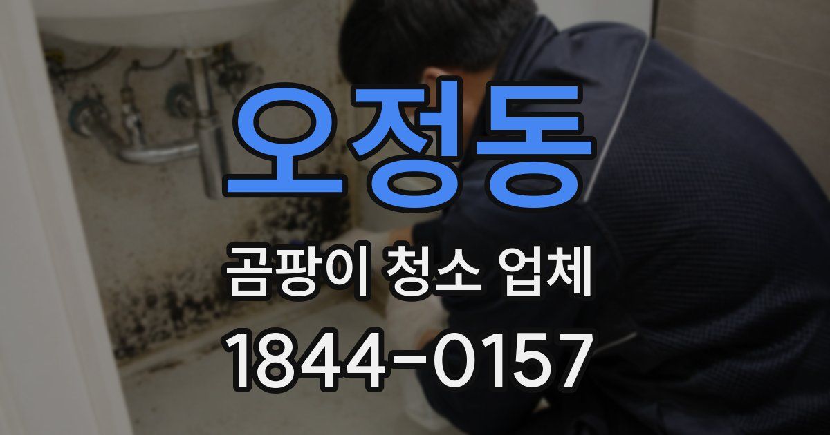 오정동 곰팡이 청소 업체