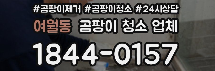 여월동 곰팡이 청소 업체