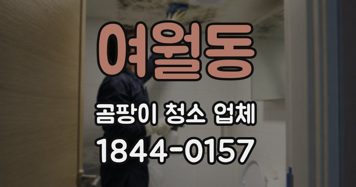 여월동 곰팡이 청소 업체