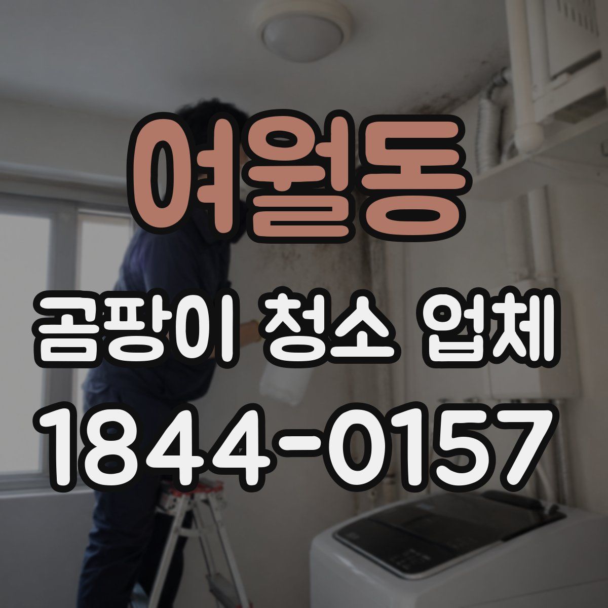 여월동 곰팡이 청소 업체