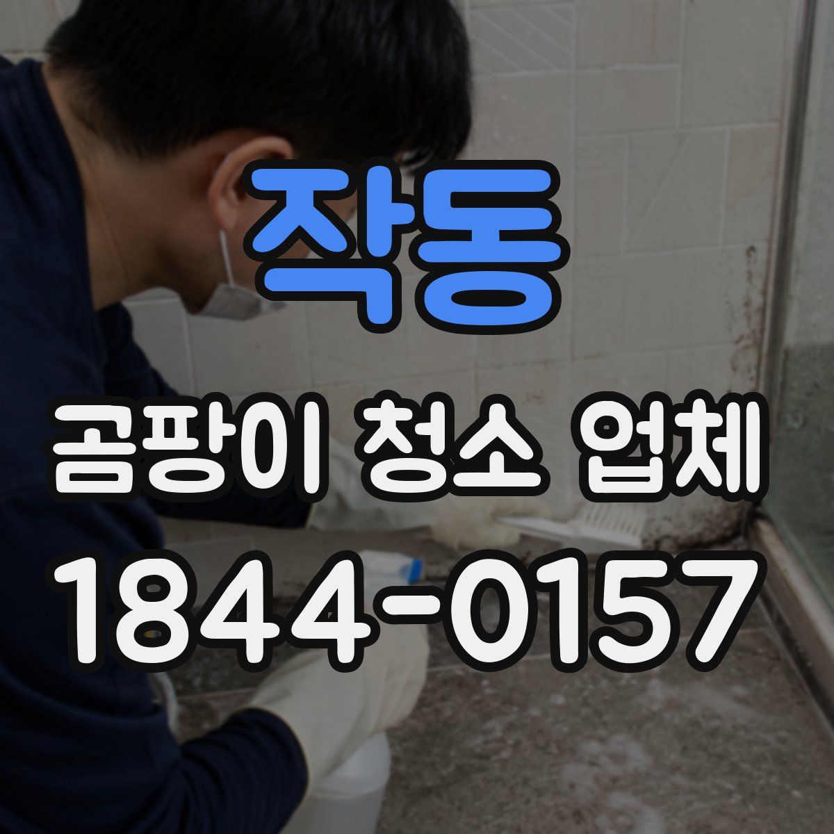 작동 곰팡이 청소 업체
