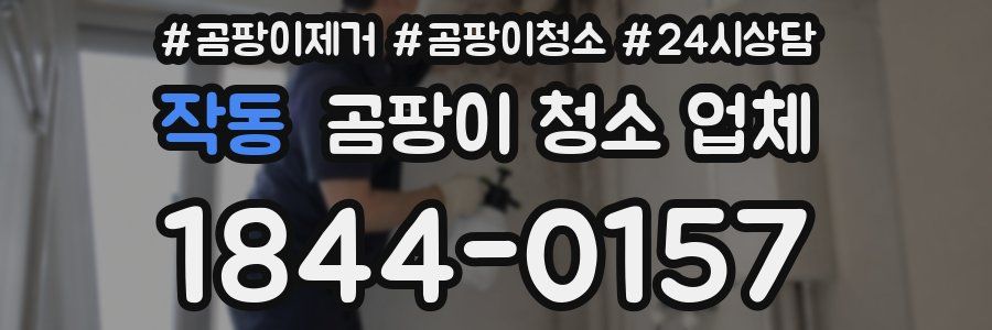 작동 곰팡이 청소 업체
