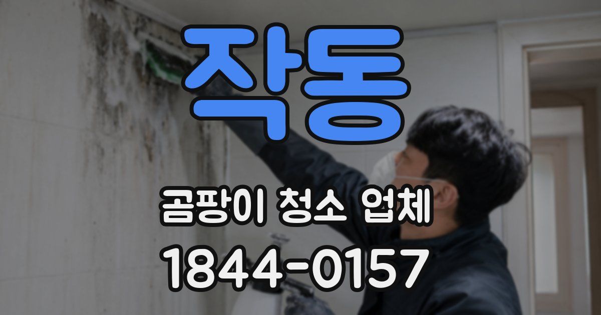작동 곰팡이 청소 업체