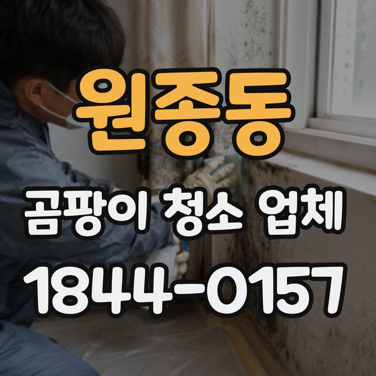 원종동 곰팡이 청소 업체