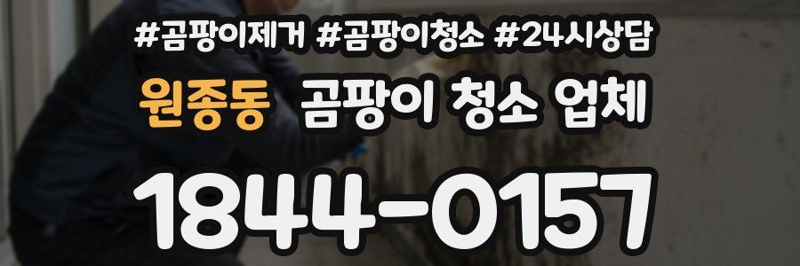 원종동 곰팡이 청소 업체