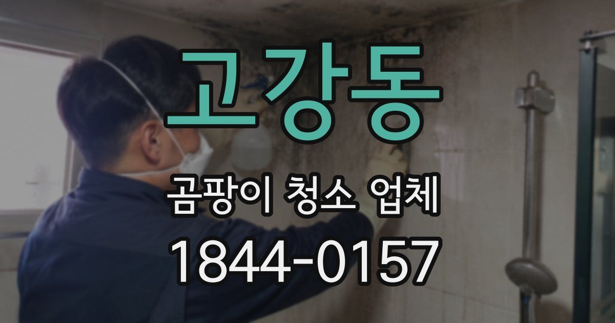 고강동 곰팡이 청소 업체