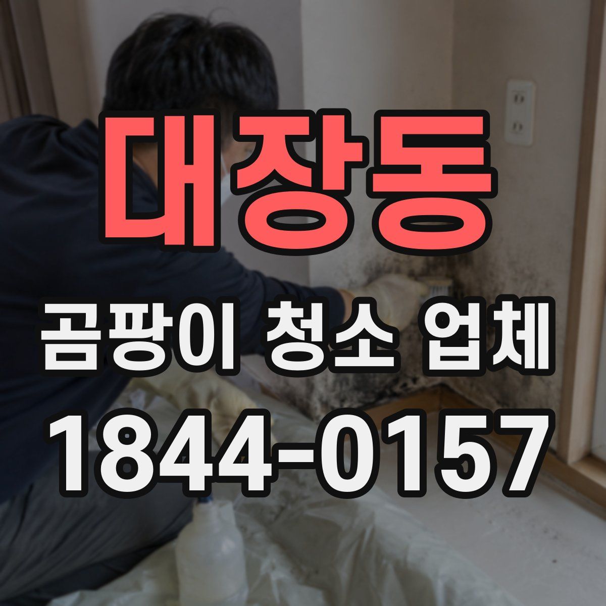 대장동 곰팡이 청소 업체