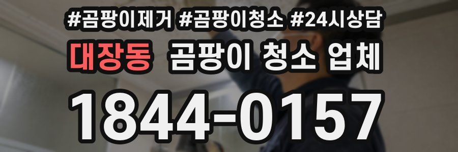 대장동 곰팡이 청소 업체
