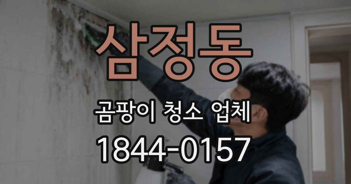 삼정동 곰팡이 청소 업체