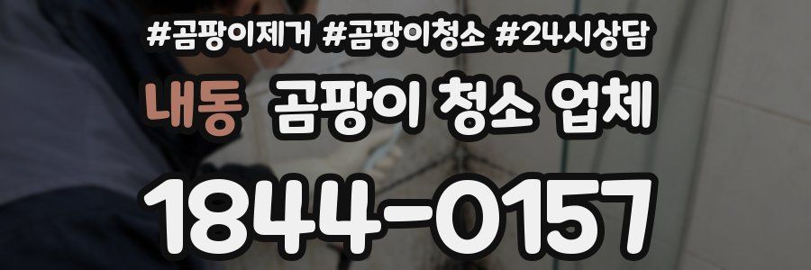 내동 곰팡이 청소 업체