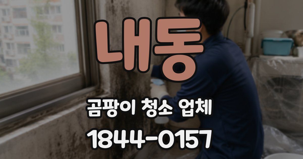 내동 곰팡이 청소 업체