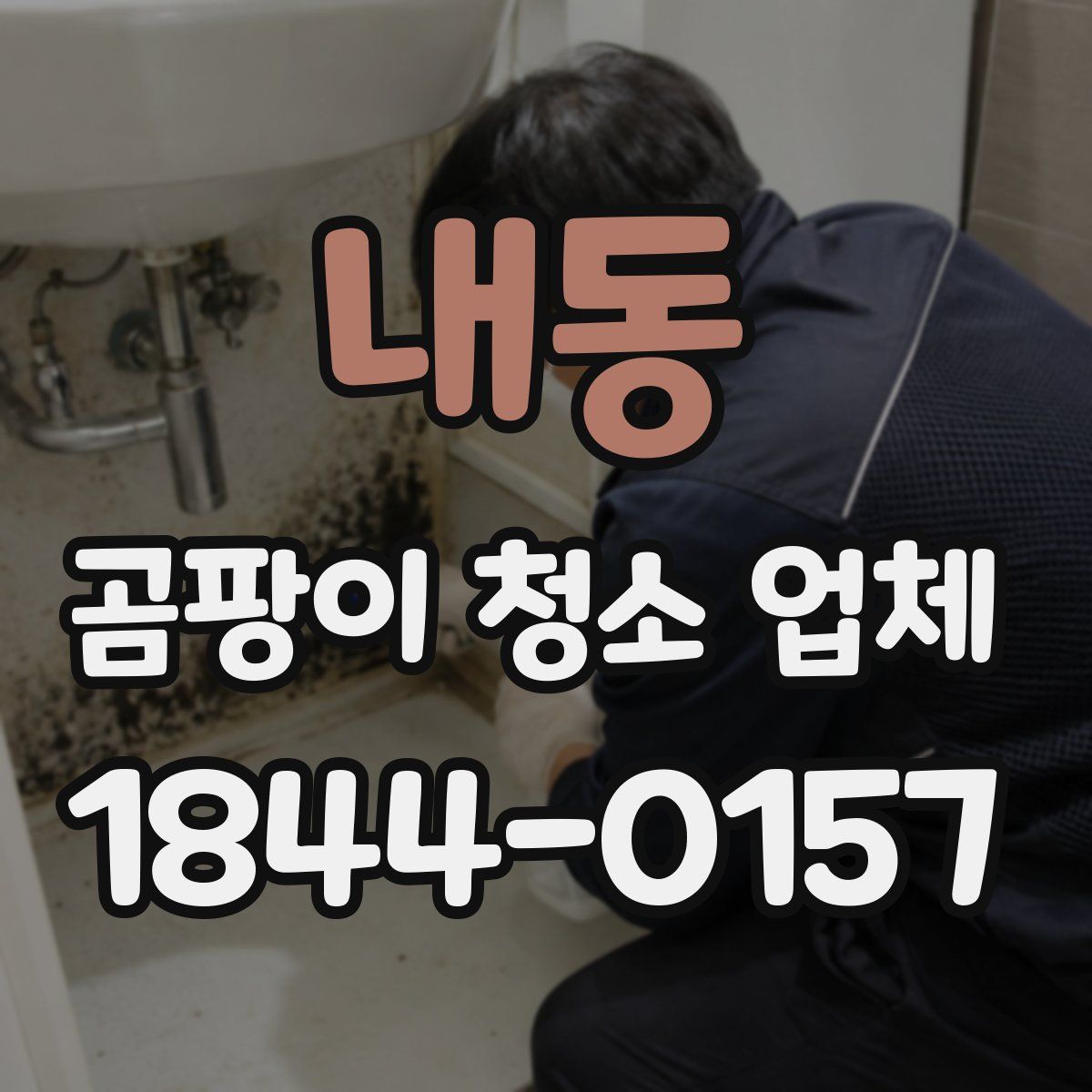 내동 곰팡이 청소 업체