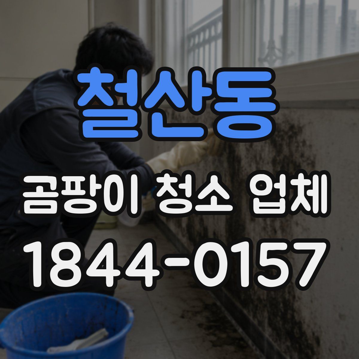 철산동 곰팡이 청소 업체
