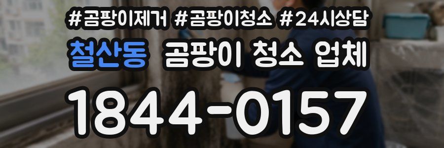 철산동 곰팡이 청소 업체